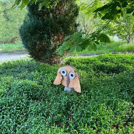 Appartement Urlaub In Der