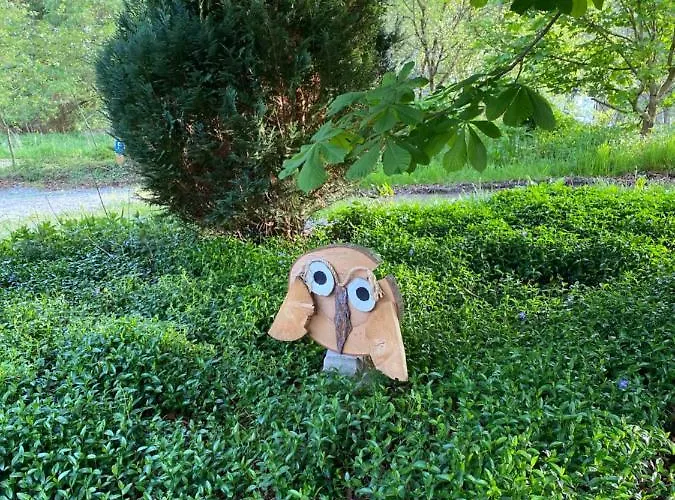 Appartement Urlaub In Der